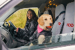 Water-Repellent Car Seat Covers Great For Pets